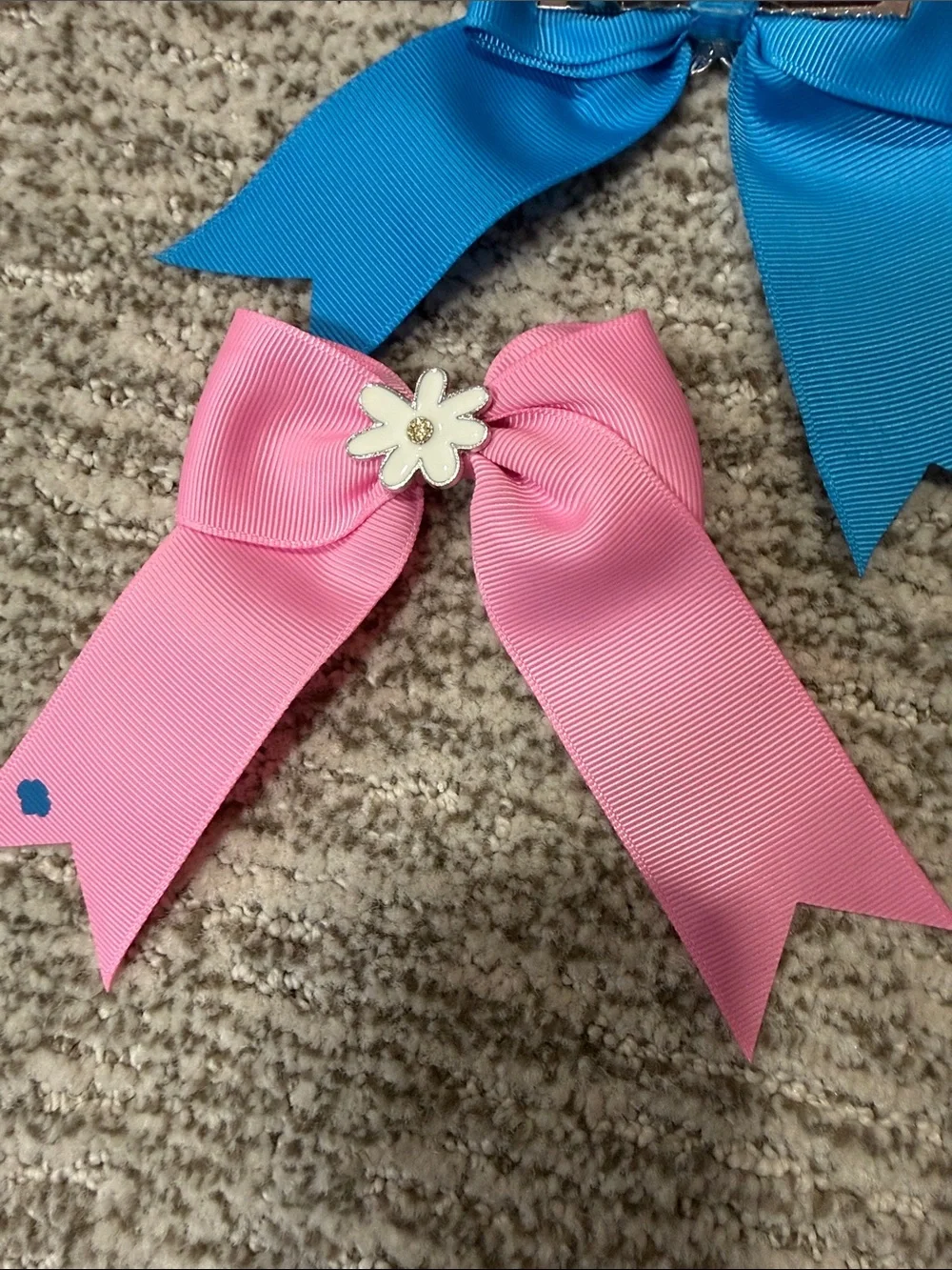 Girl Scouts Daisy Ribbon Hair Bows - Blue and Pink